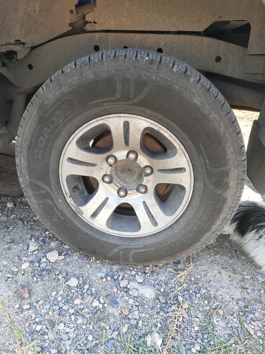 Ниссан мистраль.