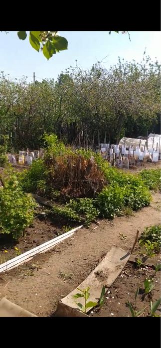 Продам дачу сад Здоровье