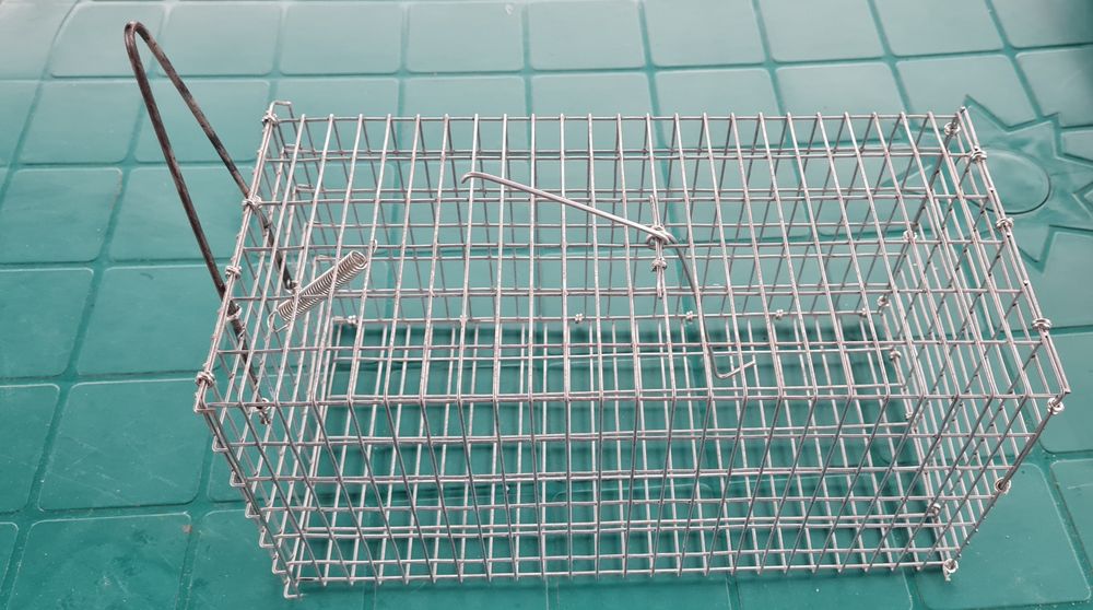 Capcana șoareci sau șobolani