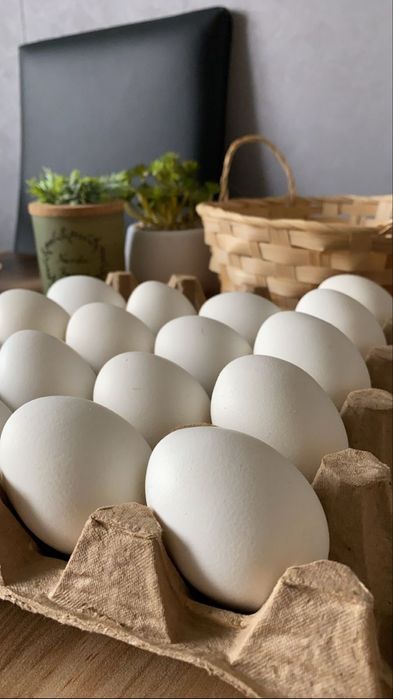 Домашние куриные яйца