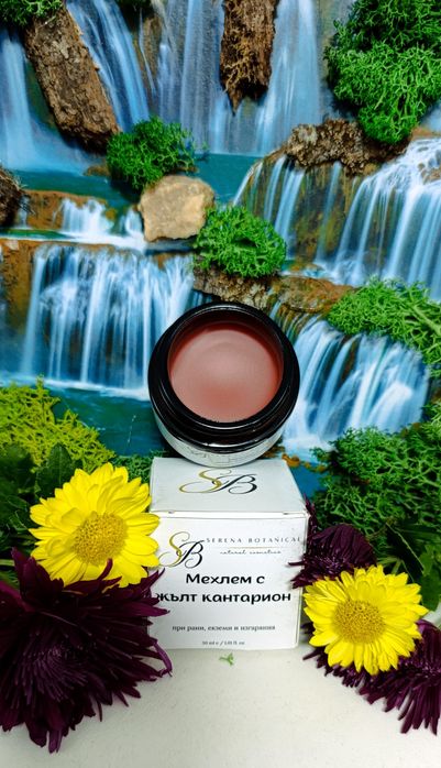Мехлем с жълт кантарион – Натурална грижа при рани, екземи и изгаряния