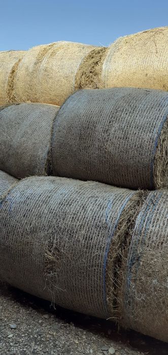 Baloti lucerna / Baloti 1,2 m/Baloti rotunzi lucerna coasa 4/Baloti