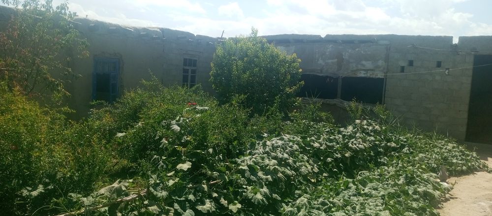 Ховли сотилади ,