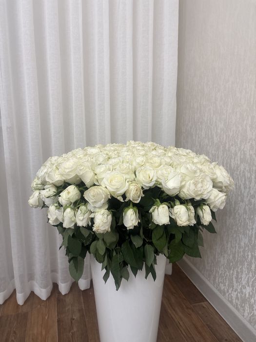 Продам белые розы 151шт