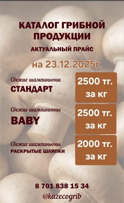 Грибы шампиньоны