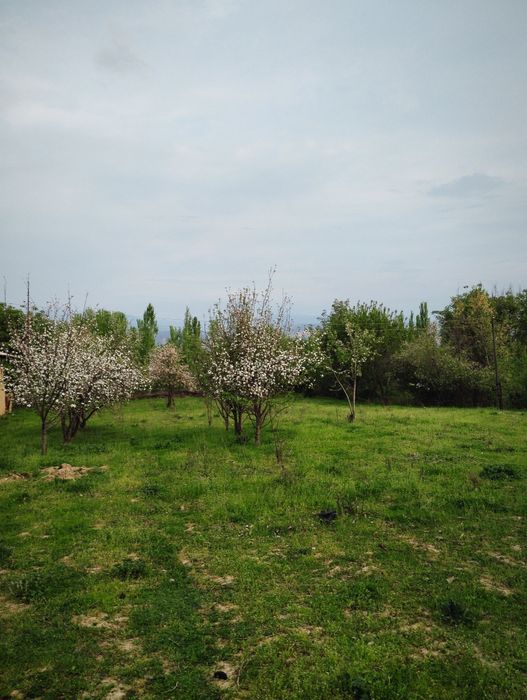 Bostonliq tumanida yer sotiladi