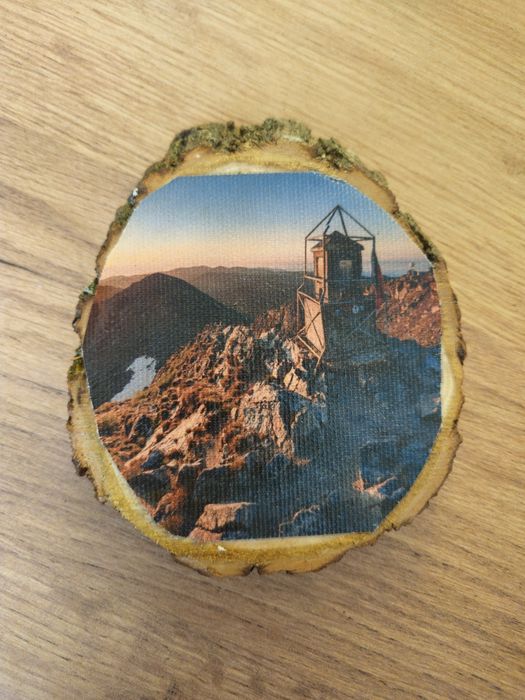 Ръчно изработени декоративни пана върху естествено дърво