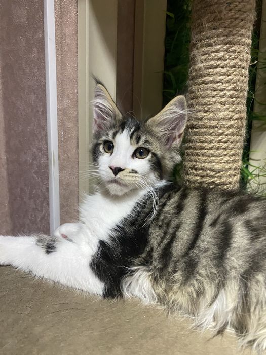 Мейн кун WCF в Астане готов к переезду