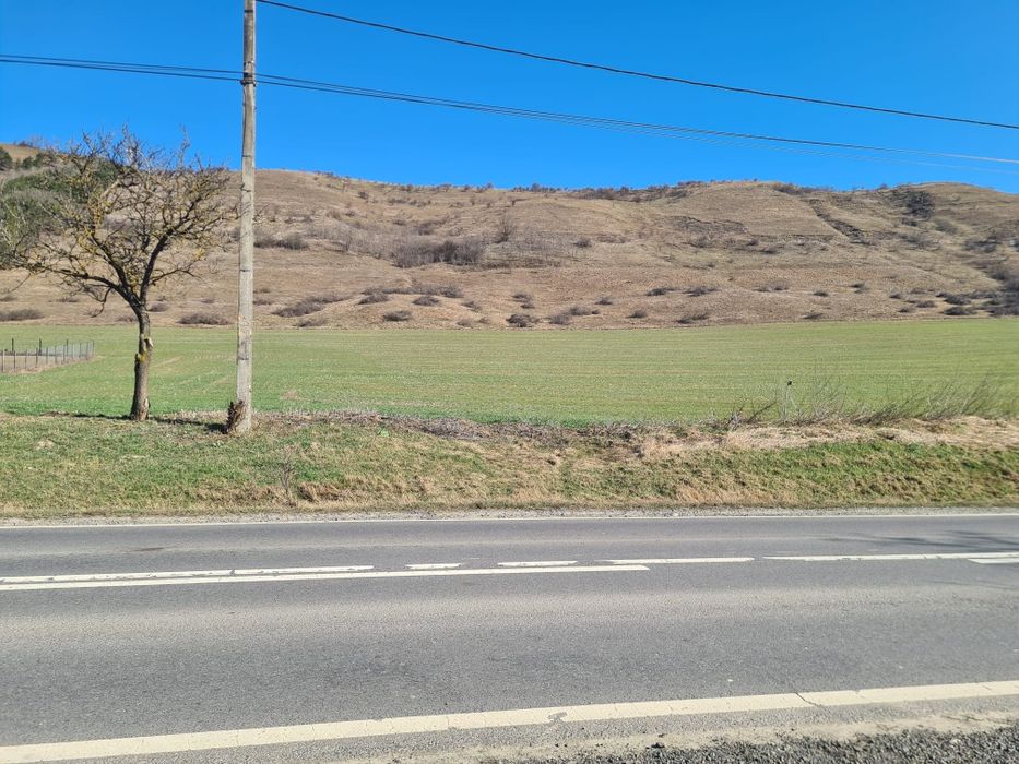 Teren intravilan Caianu  4500  mp.