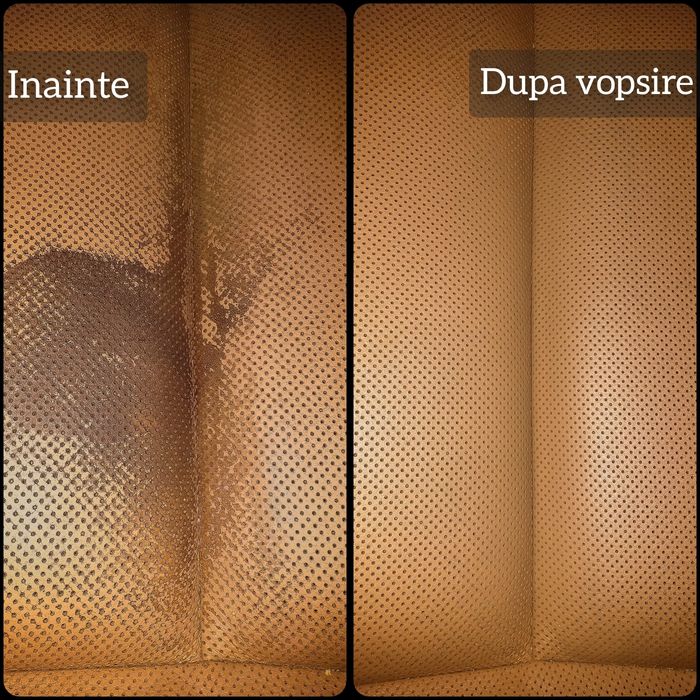 Vopsire Piele Scaune Auto Interior Volan Cotiere Vopsit Vopsim Vopsesc