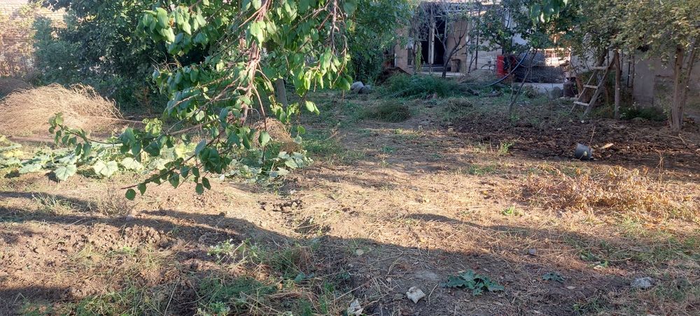 Quruq erni o'zi sotama