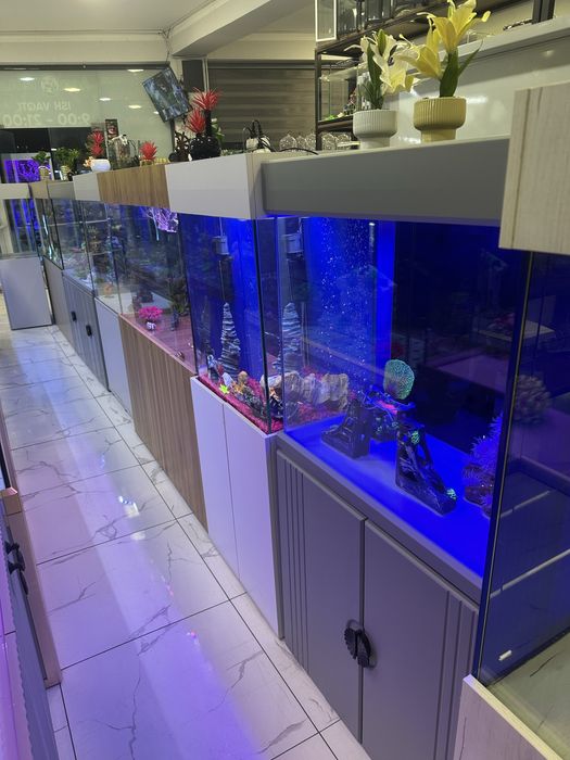 Аквариум Магазин