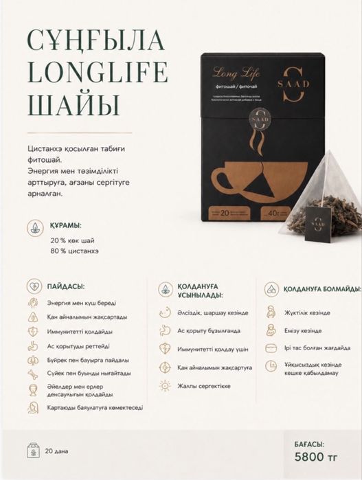 Сұңғыла Цистанхе