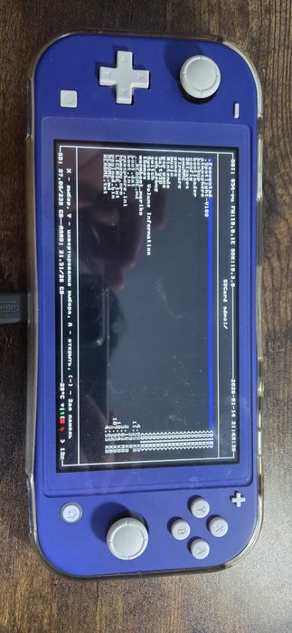 Прошитый nintendo switch lite