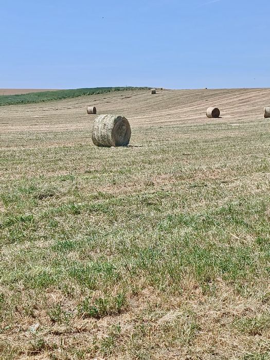 Vand baloti de paie circulari