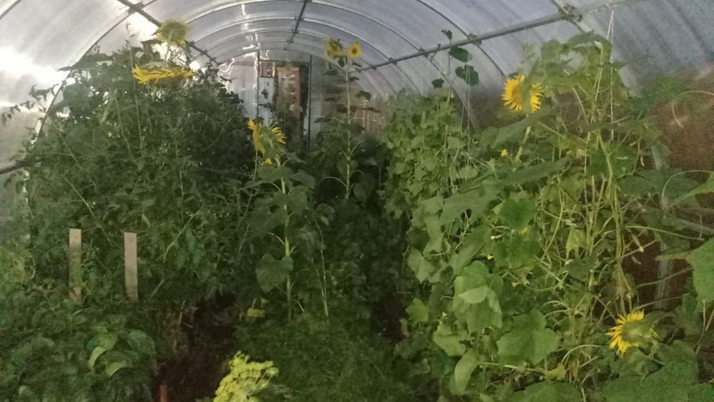 Дача с новым домом, 5 соток,