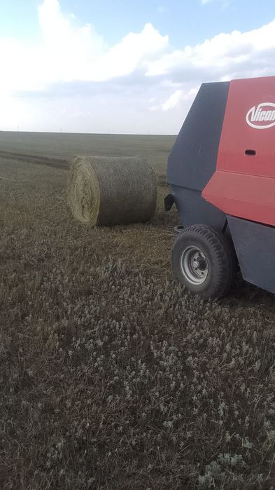 Продам сено в рулонах