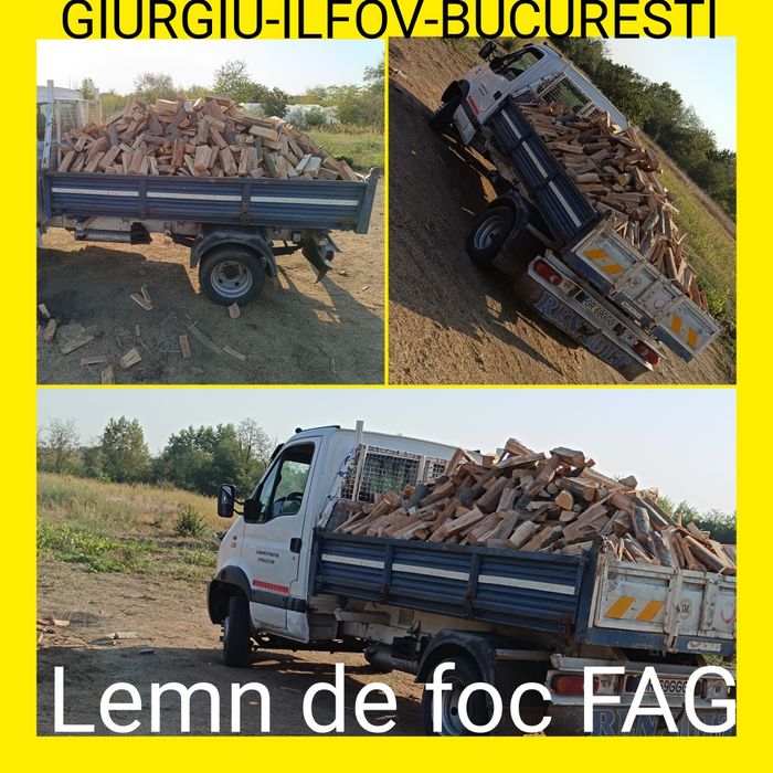 Oferta palet Stejar sau Fag Giurgiu-Ilfov-Bucuresti