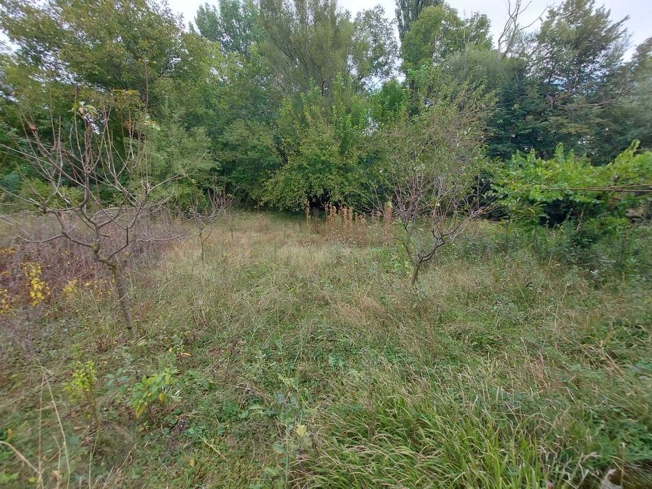 Едноетажна къща, с. Певец