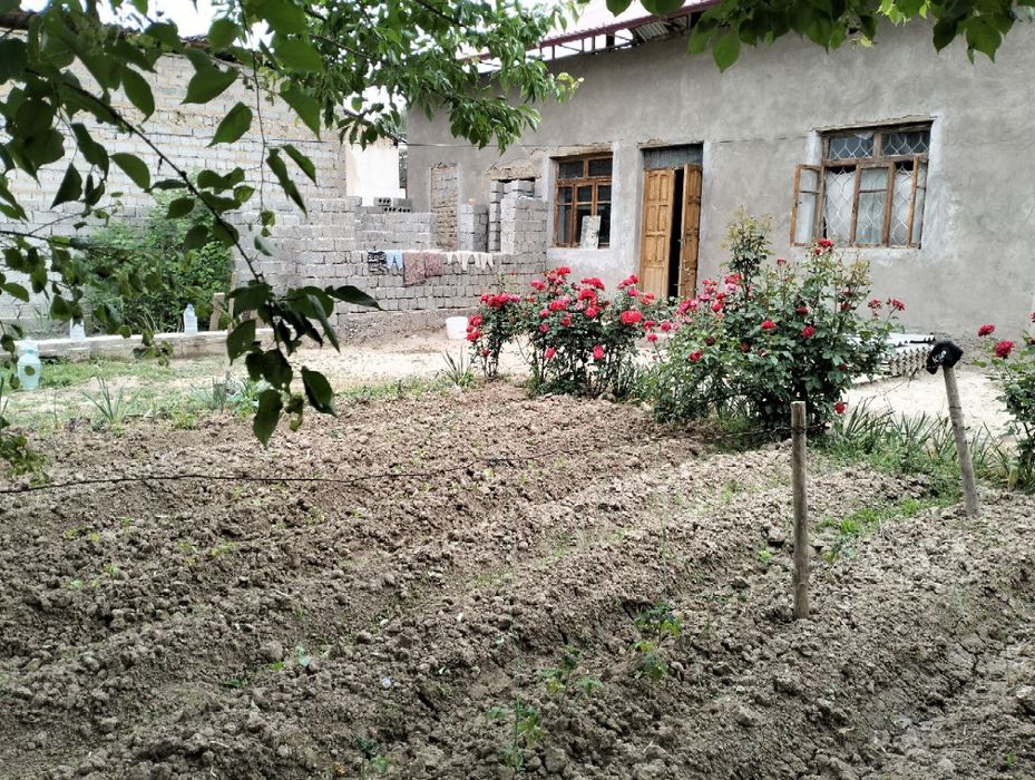 Участок 9 соток 5 комнаты (дом-коробка)