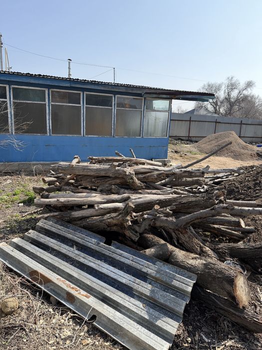 Дрова отдам даром