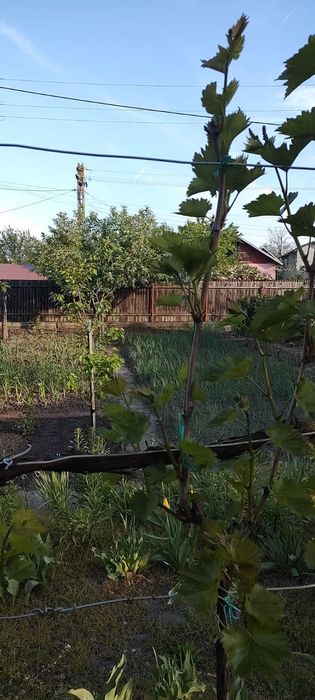 Casa de vânzare in județul Prahova, comuna Draganesti, sat Baraitaru