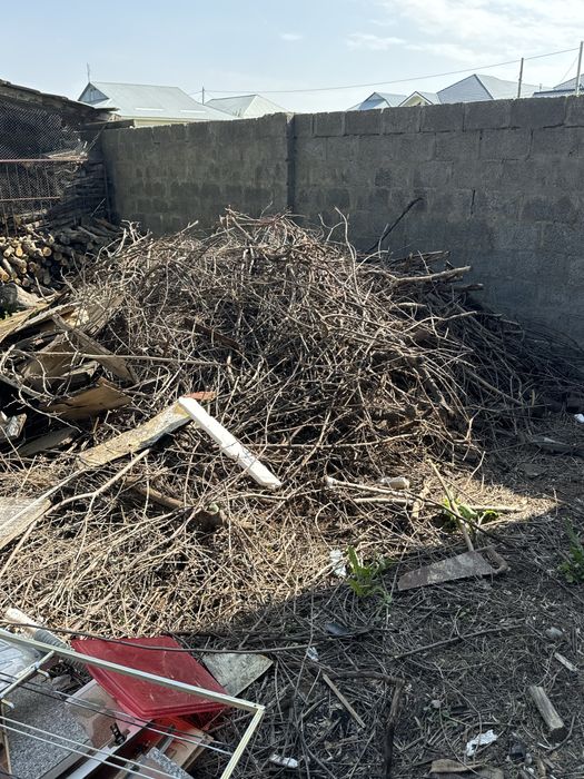 Дрова бесплатно. Самовывоз