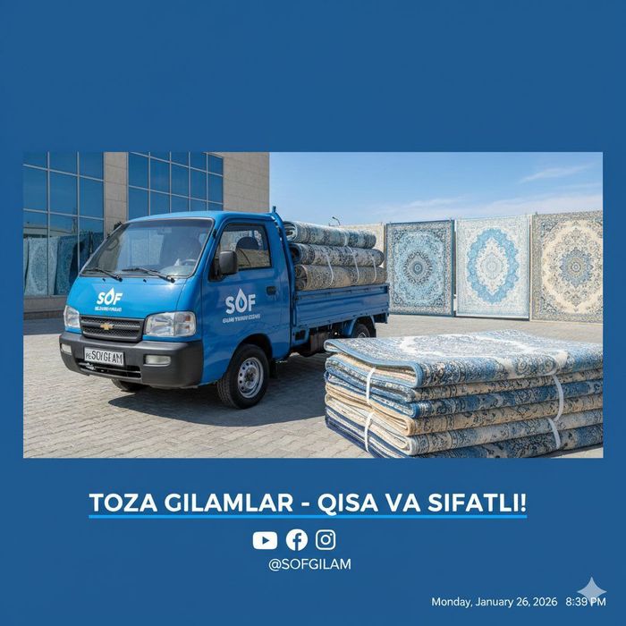 SOF gilam yuvish xizmati alo sifatli