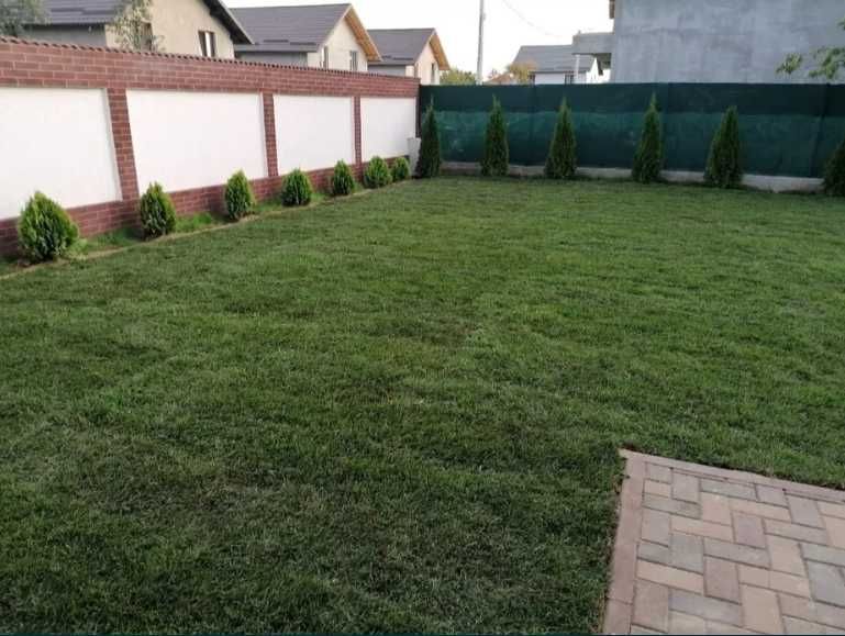 Gazon Rulou de Calitate Premium – Montaj și Irigare la Cheie