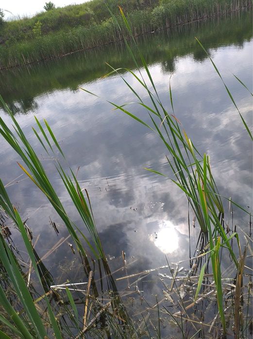 Schimb Teren intravilan in Hateg,langa Baraj Sântămaria-Orlea, Prislop