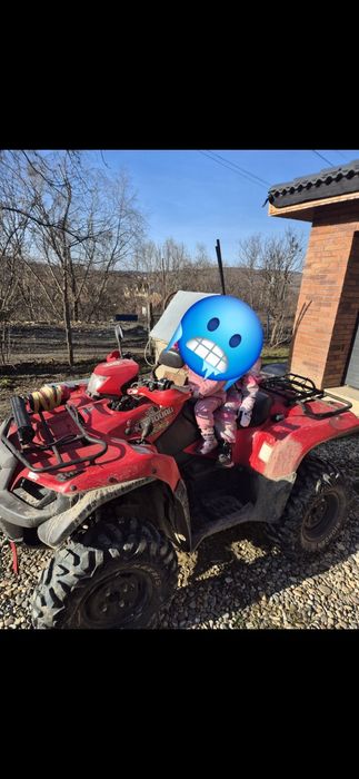 Suzuki King quad