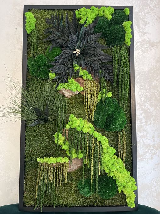 Tablouri cu licheni,muschi si plante stabilizate