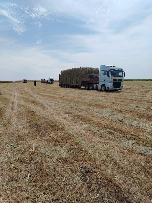 Сено лугавое 200 кг