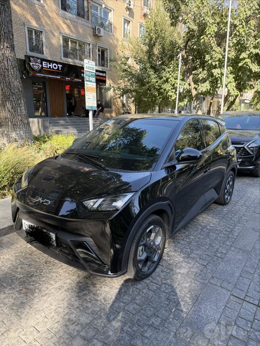 Byd Seagull 2025 yil