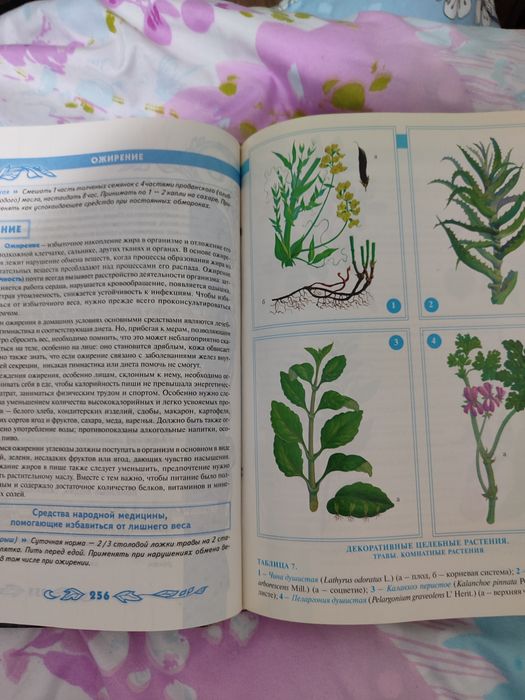 Энциклопедия здоровья