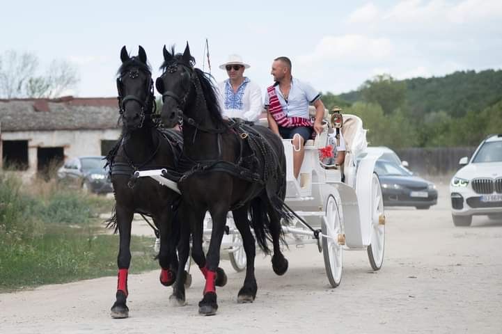 Inchiriez trasura pentru evenimente