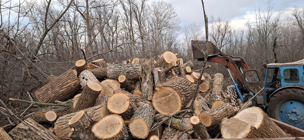 Дрова караначь,клён,тополь,ясень, вязовник