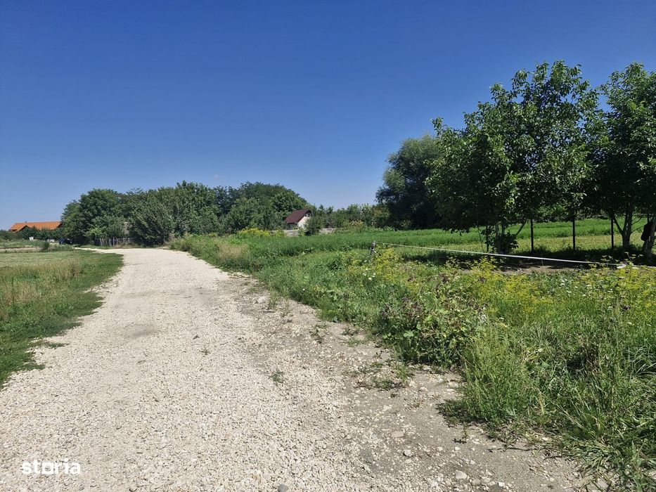 Teren intravilan de vânzare în Stupini