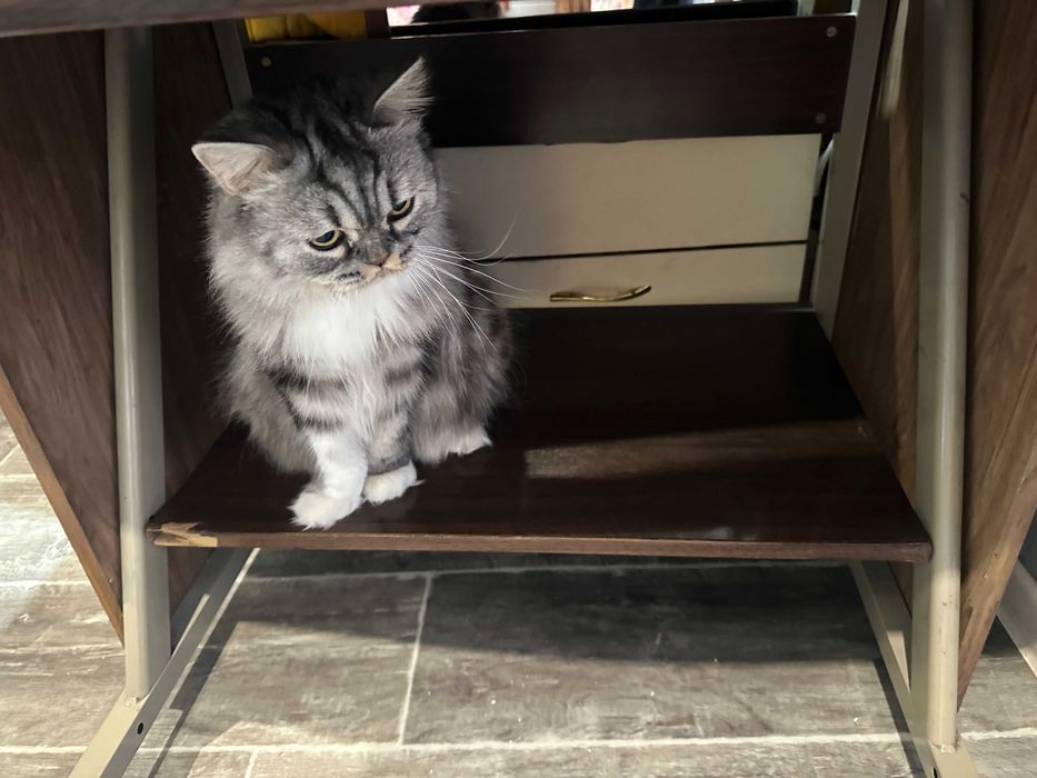 Компьютерный стол даром