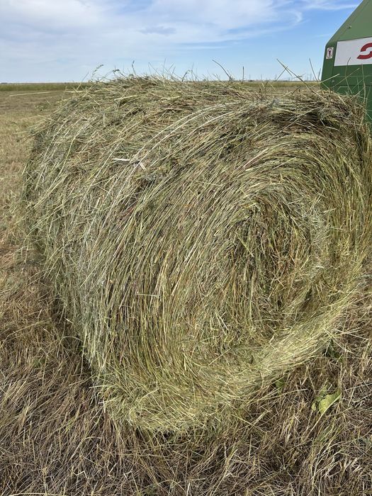 Сено в рулонах , разнотравие