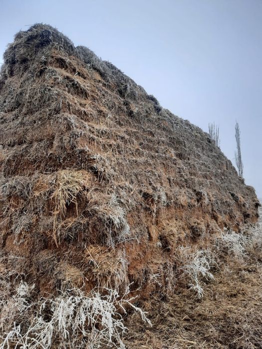 Продается сено прошлогодний, шоп сатылады