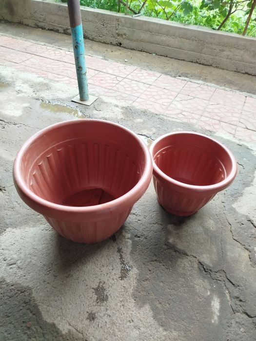 Gul tuvaklar sotiladi ideal xolatda 80 ta bor