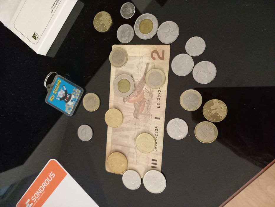 CANADA,America,monede DOLAR,1 EUR0,Omul VITRUVIAN,raritati,2001,2002