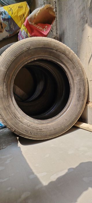 Bu balon 15razmerli continental