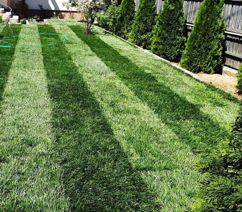 Montaj Gazon Rulou – Curte Gata în 24 de Ore