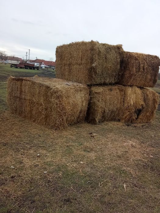 Vând baloți de fan