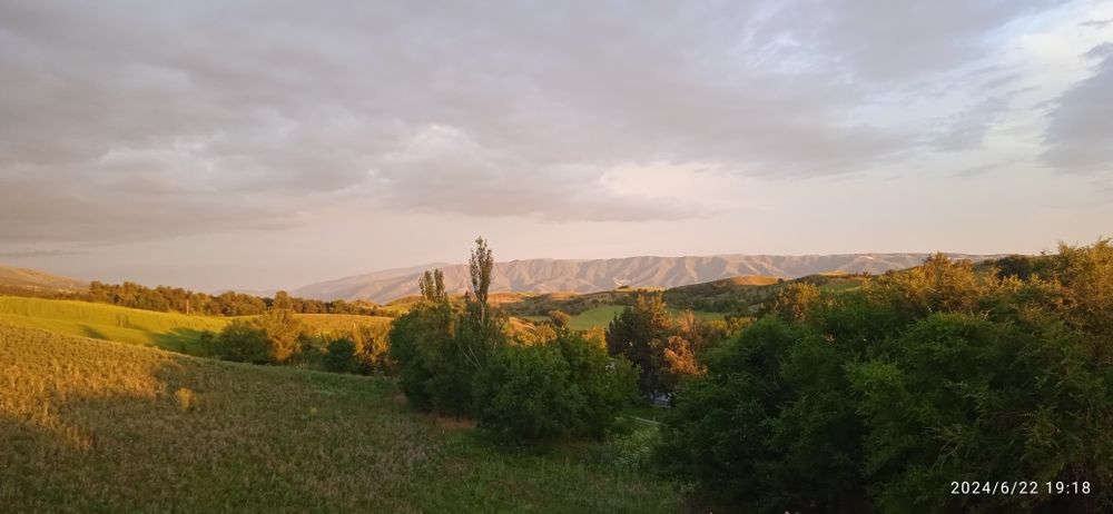 Продам фазенду или дачу