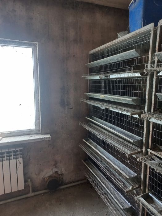 Клетки для перепелок