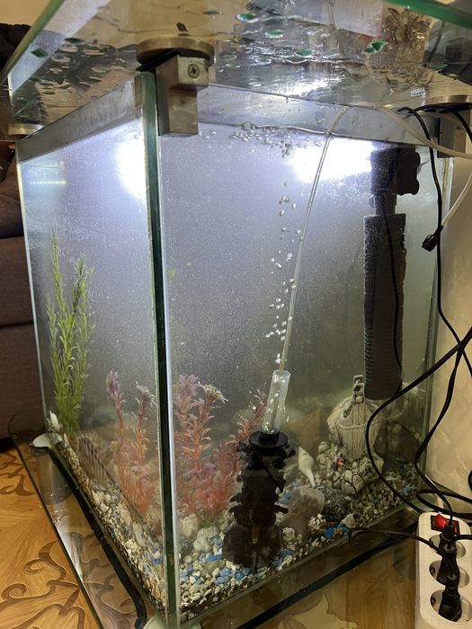 Продаю аквариум