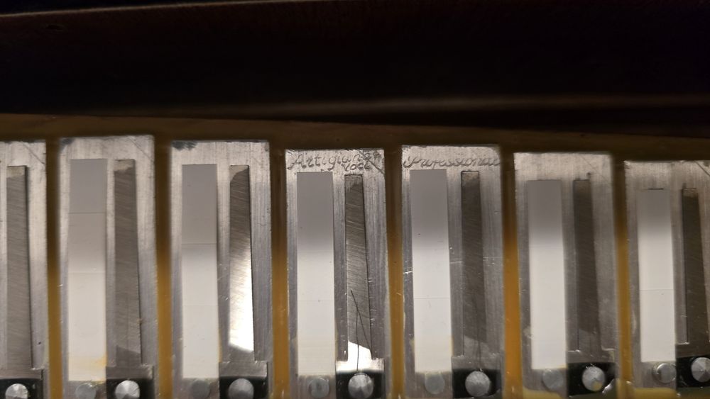 Acordeon Bicanto Piatanesi 2+2 Cassotto A Mano Nou
